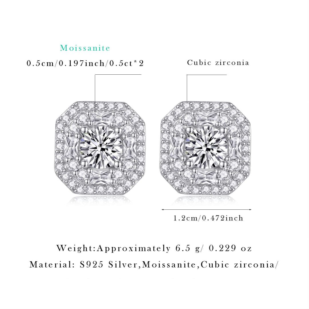 Winter Afternoon Moissanite 0.5 Ct Round Cut Earrings